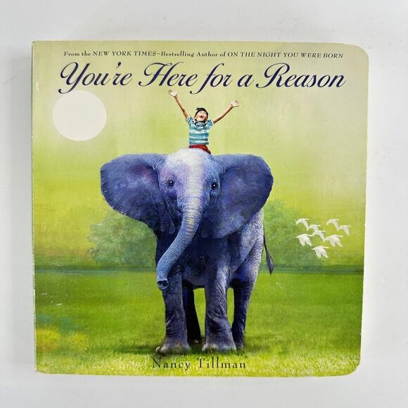 2/$6 You’re Here for a Reason book by Nancy Tillman (Board Book) - Picture 1 of 12